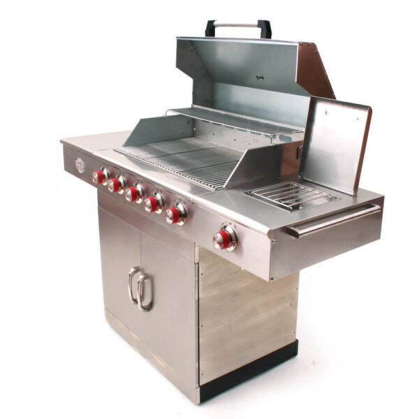barbecue gaz inox professionnel Pro M301 incl